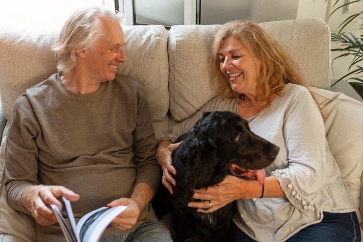 Why More Americans Are Adopting Senior Dogs?