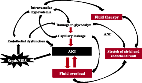 Managing Fluid Overload and Dehydration in Acute Kidney Injury