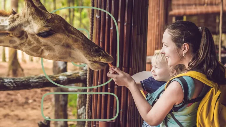 Classroom Wildlife: How Experiential Learning Gives Minds Advantage